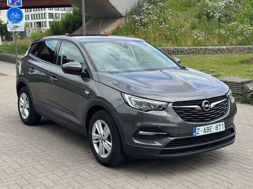 Opel Grandland X | Diesel | Euro 6